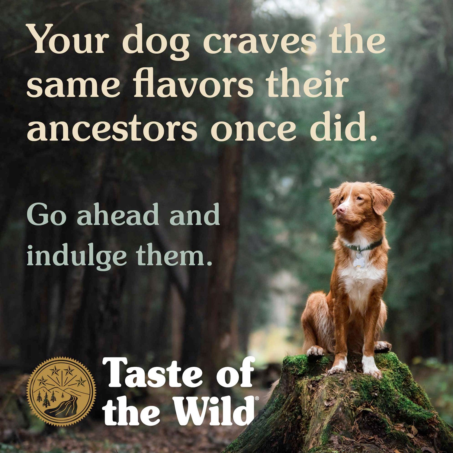 Taste of the Wild High Prairie Dry Dog Food 12kg