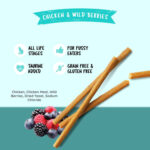 Kit Cat Cat Stick Chicken & Wild Berries 15g