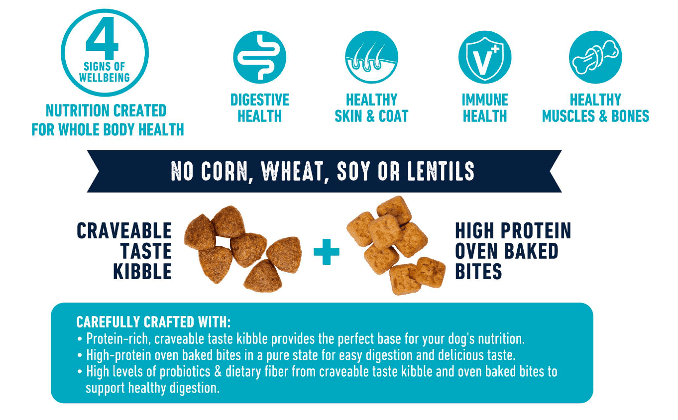 Wanpy Adult Grain-Free Chicken Dog Food