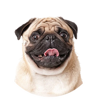 Dogs