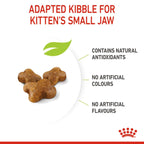 Royal Canin Feline Health Nutrition Kitten