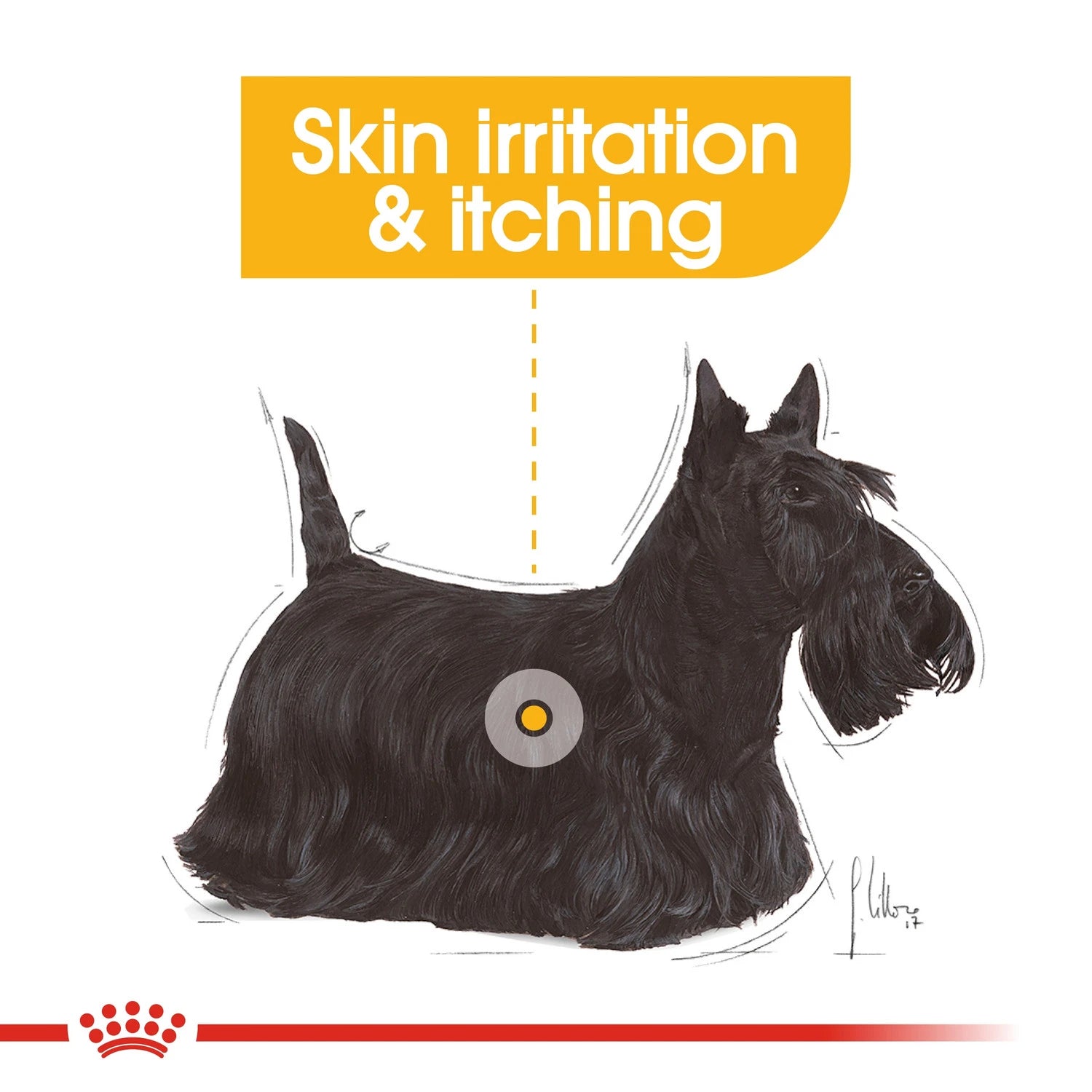 Canine Care Nutrition Mini Dermacomfort 3 kg