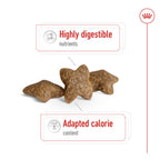 Royal Canin Size Health Nutrition Mini Adult