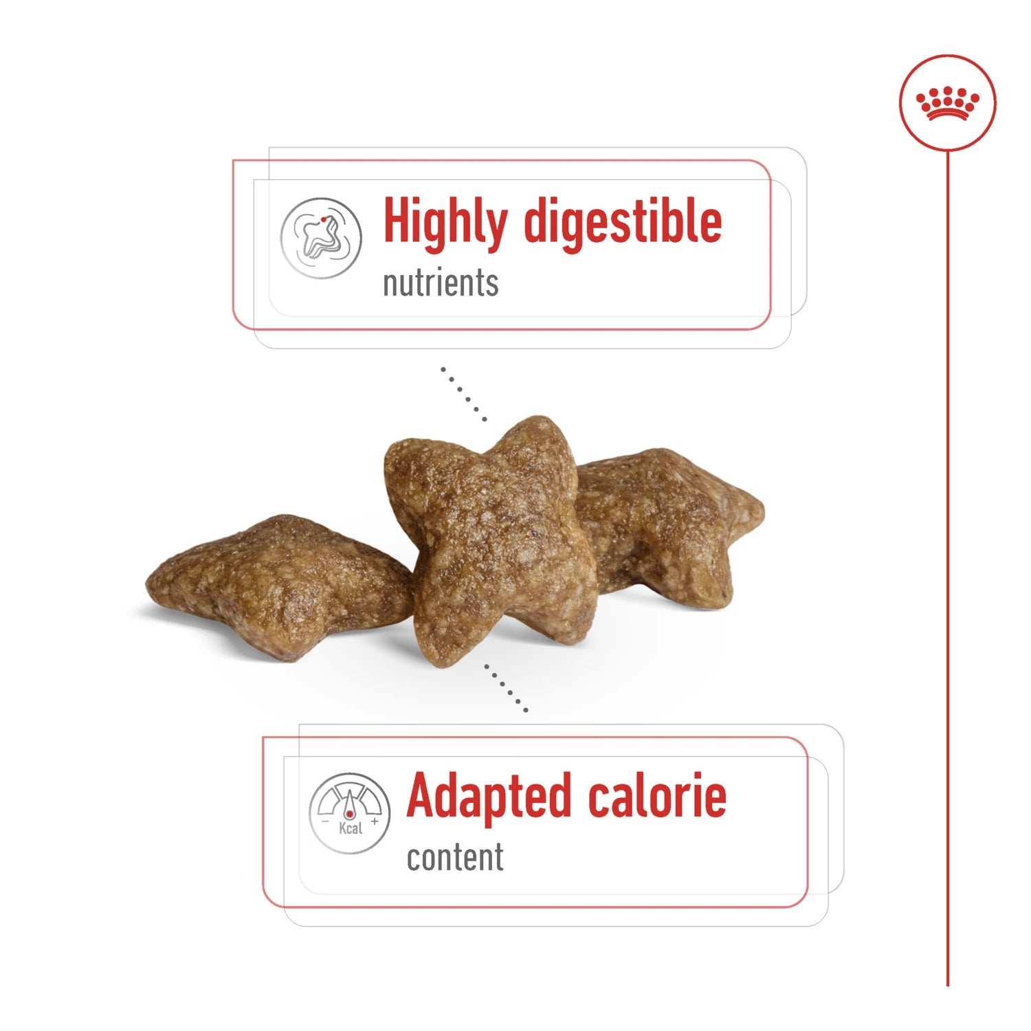 Royal Canin Size Health Nutrition Mini Adult