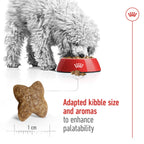 Royal Canin Size Health Nutrition Mini Adult