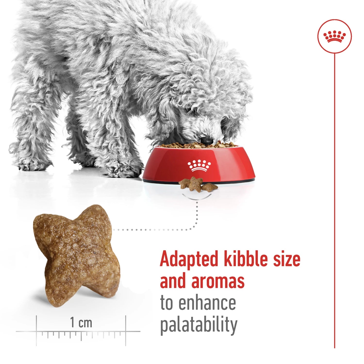 Royal Canin Size Health Nutrition Mini Adult
