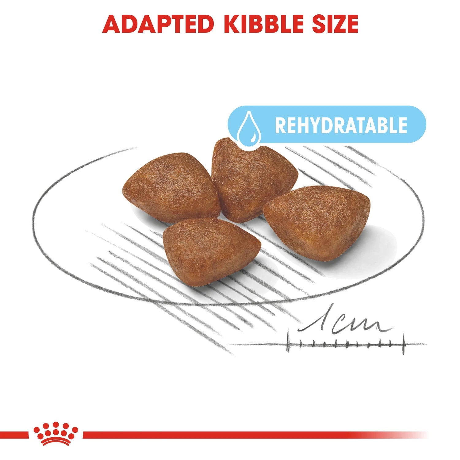 Royal Canin Size Health Nutrition Mini Starter 1 kg