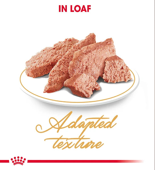Royal Canin Feline Breed Nutrition Persian (Wet Food - Pouches) 12 x 85 g