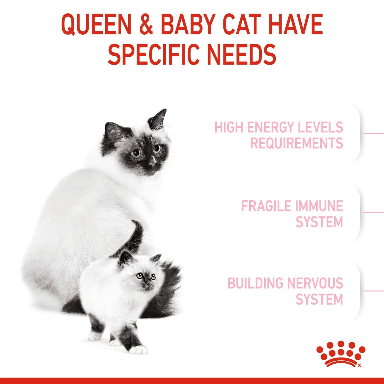 Royal Canin Feline Health Nutrition Mother and Babycat 2 kg