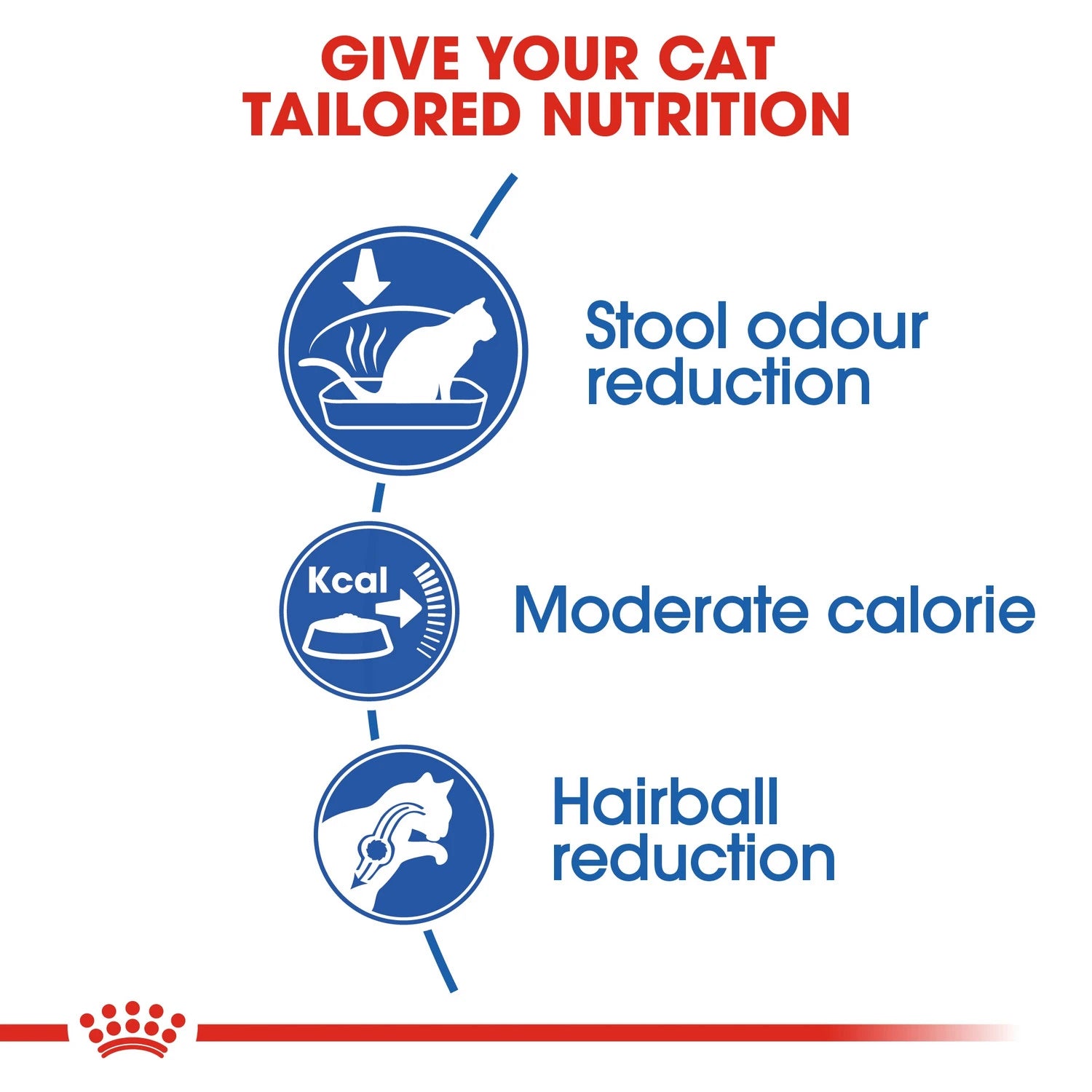 Royal Canin Feline Health Nutrition Indoor 2 kg