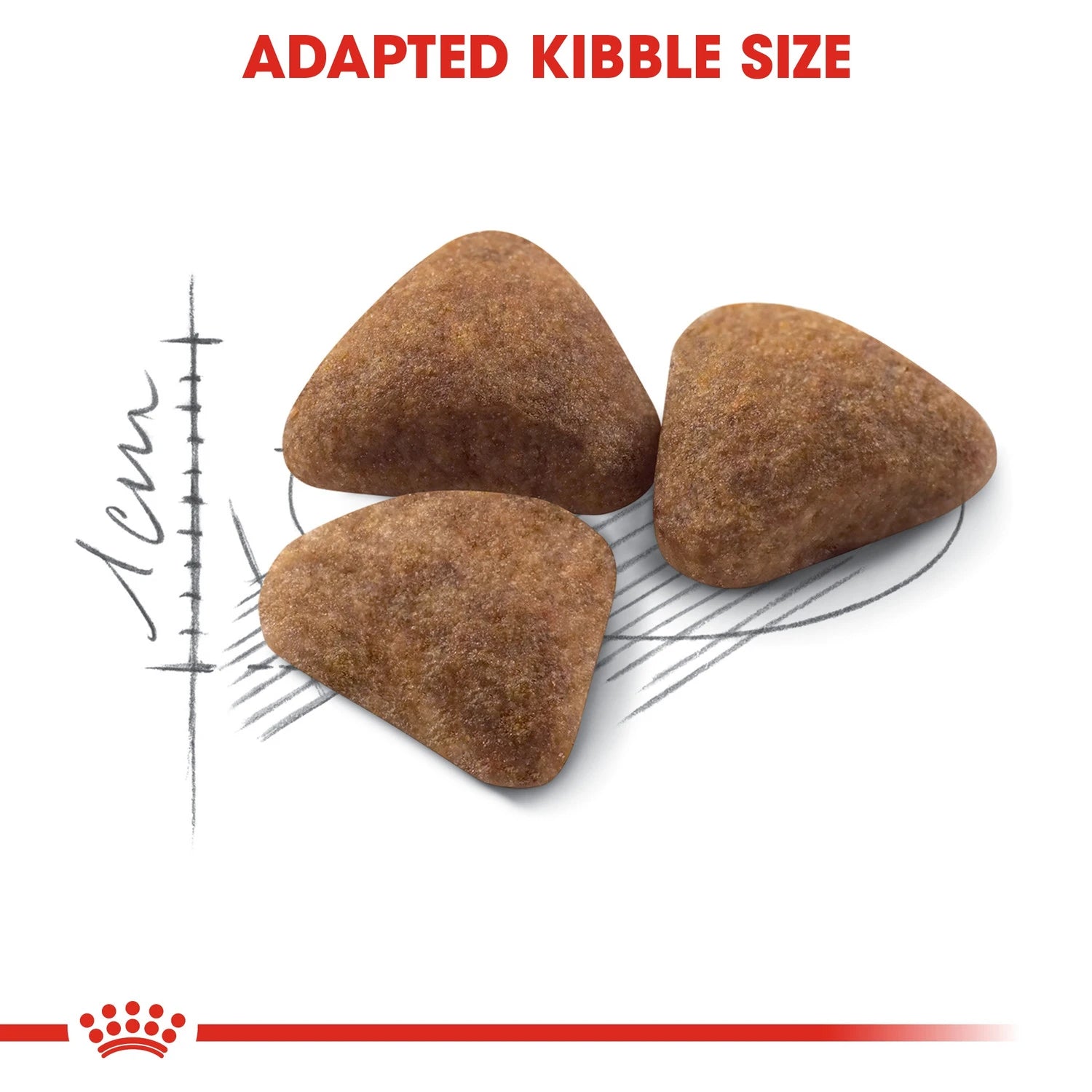 Royal Canin Feline Health Nutrition Indoor 2 kg