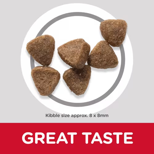 Hill's Science Plan Kitten Food with Chicken 300g