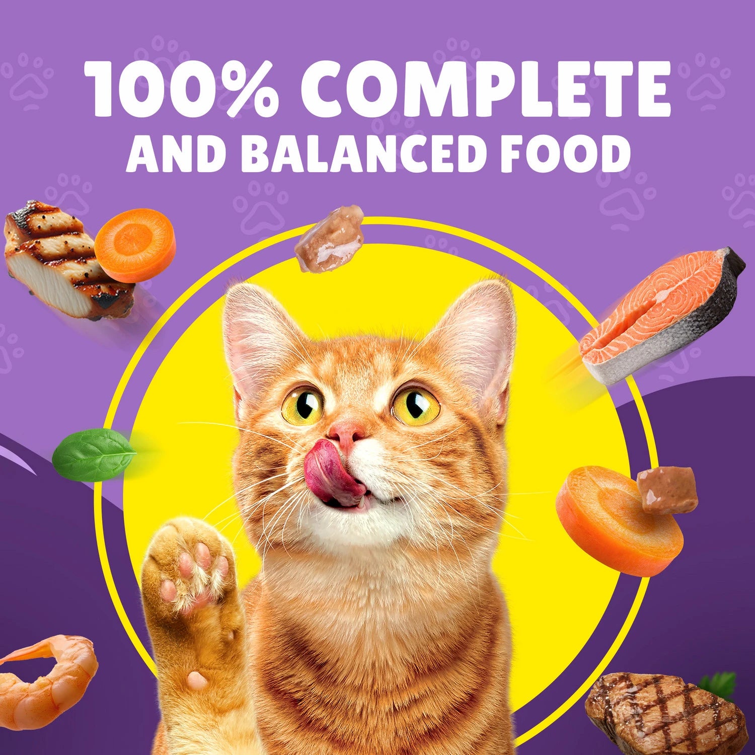FRISKIES CAT BEEF VEG 400G -CAN