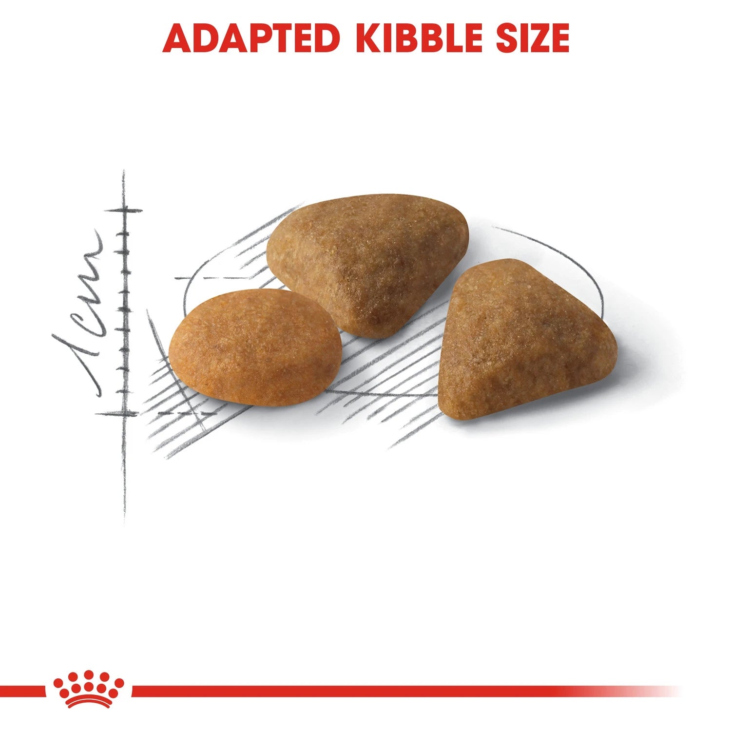 Royal Canin Exigent Savour 4 kg
