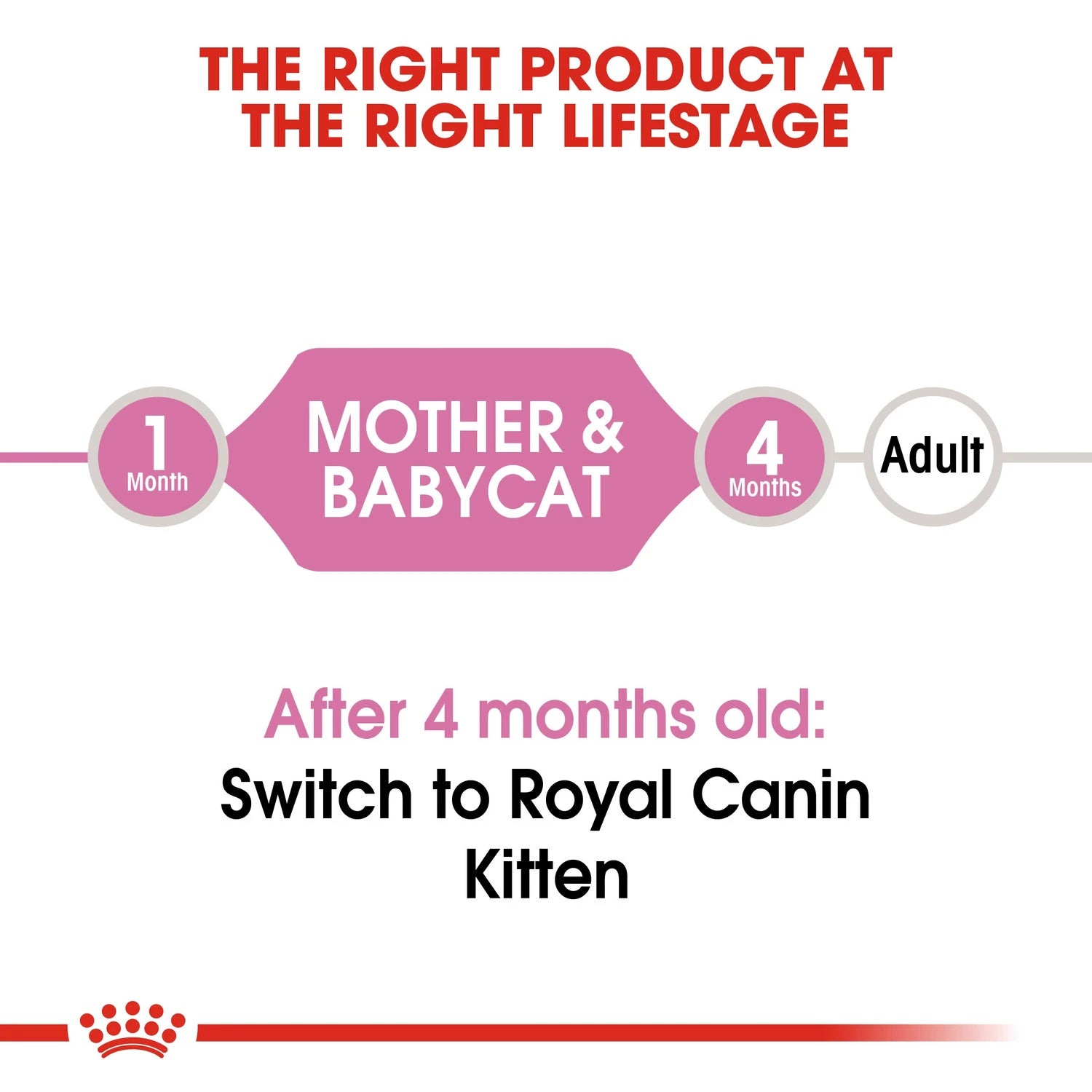 Royal Canin Mother & Babycat (Wet Food - Cans)12x 195 g