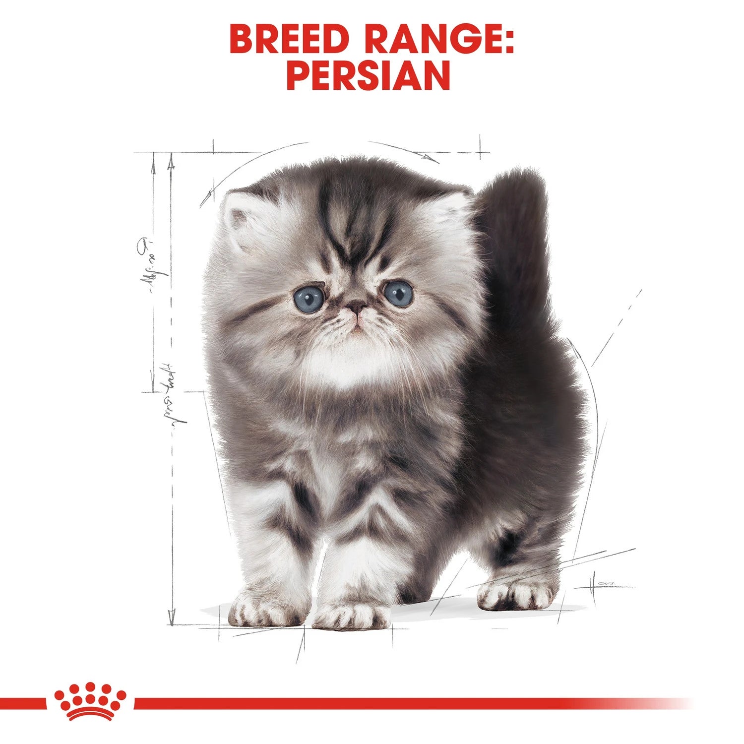Royal Canin Persian Kitten 2 kg