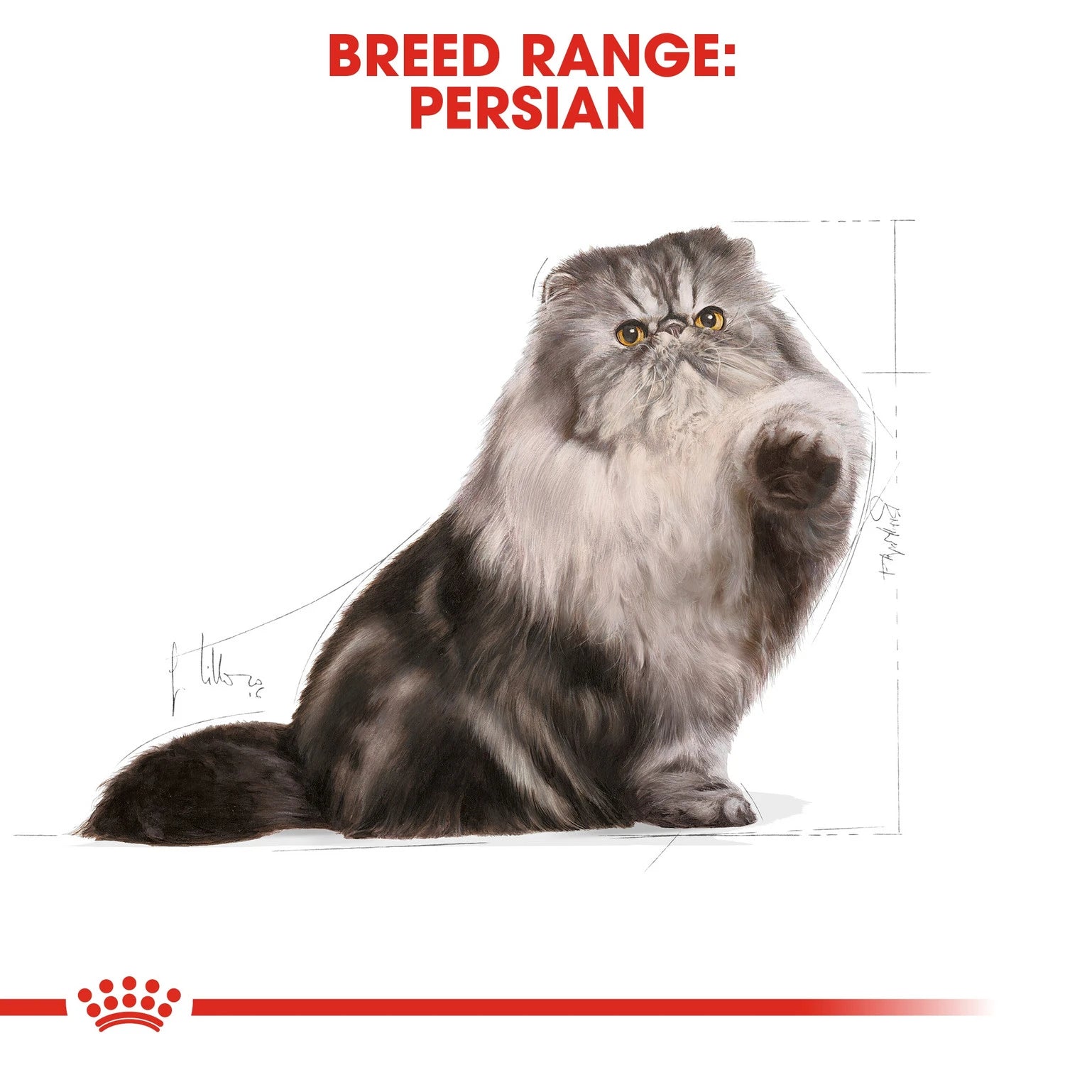 Royal Canin Persian Adult 2 kg