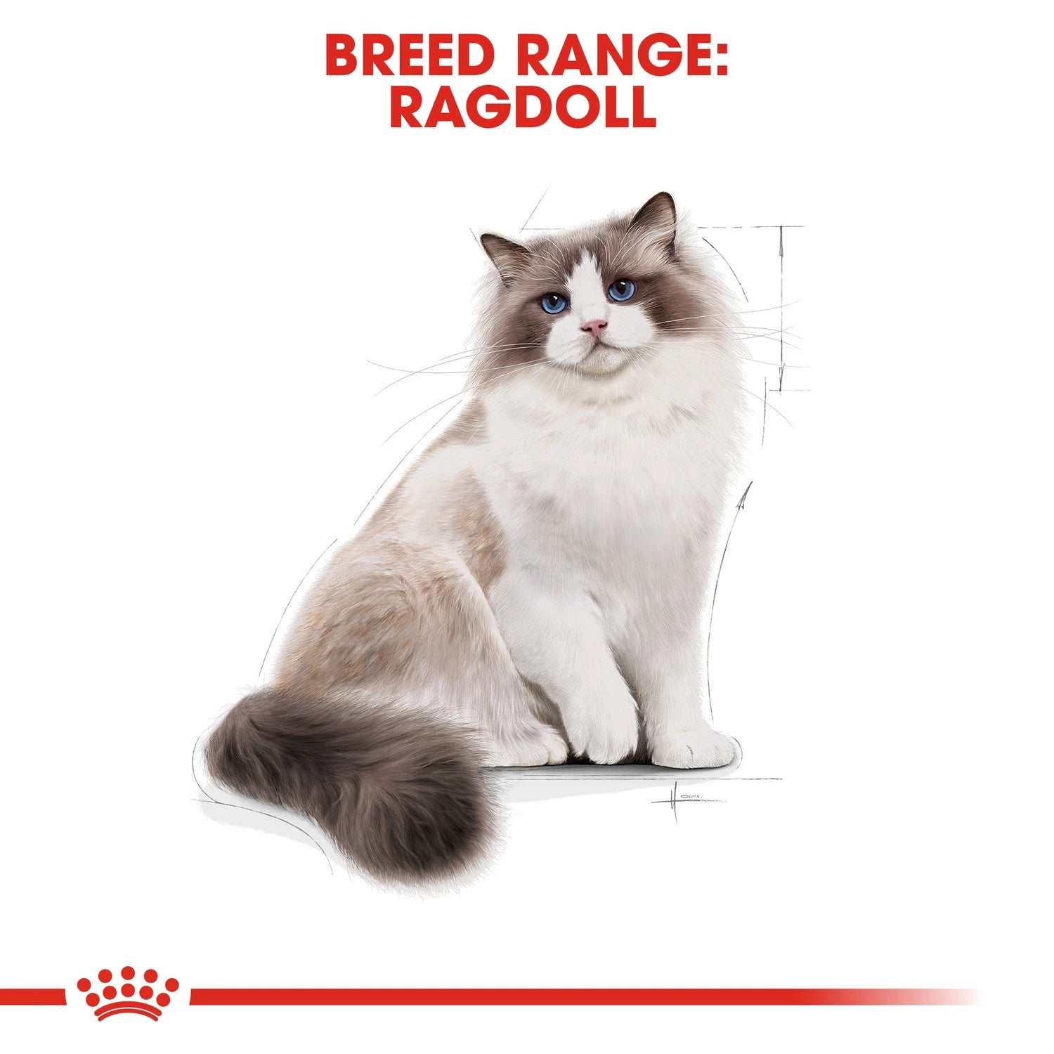 Royal Canin Ragdoll 2kg