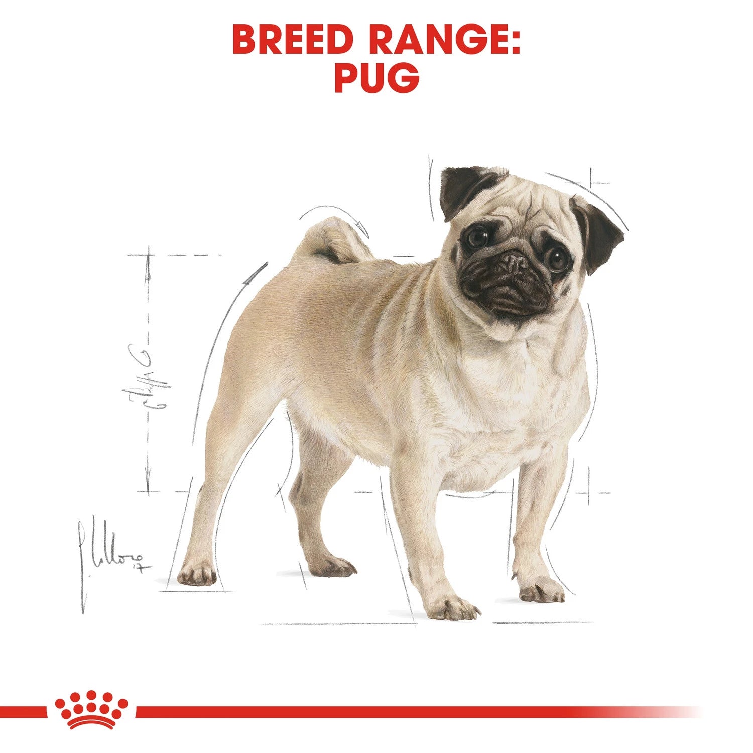 Royal Canin Pug 1.5 Kg