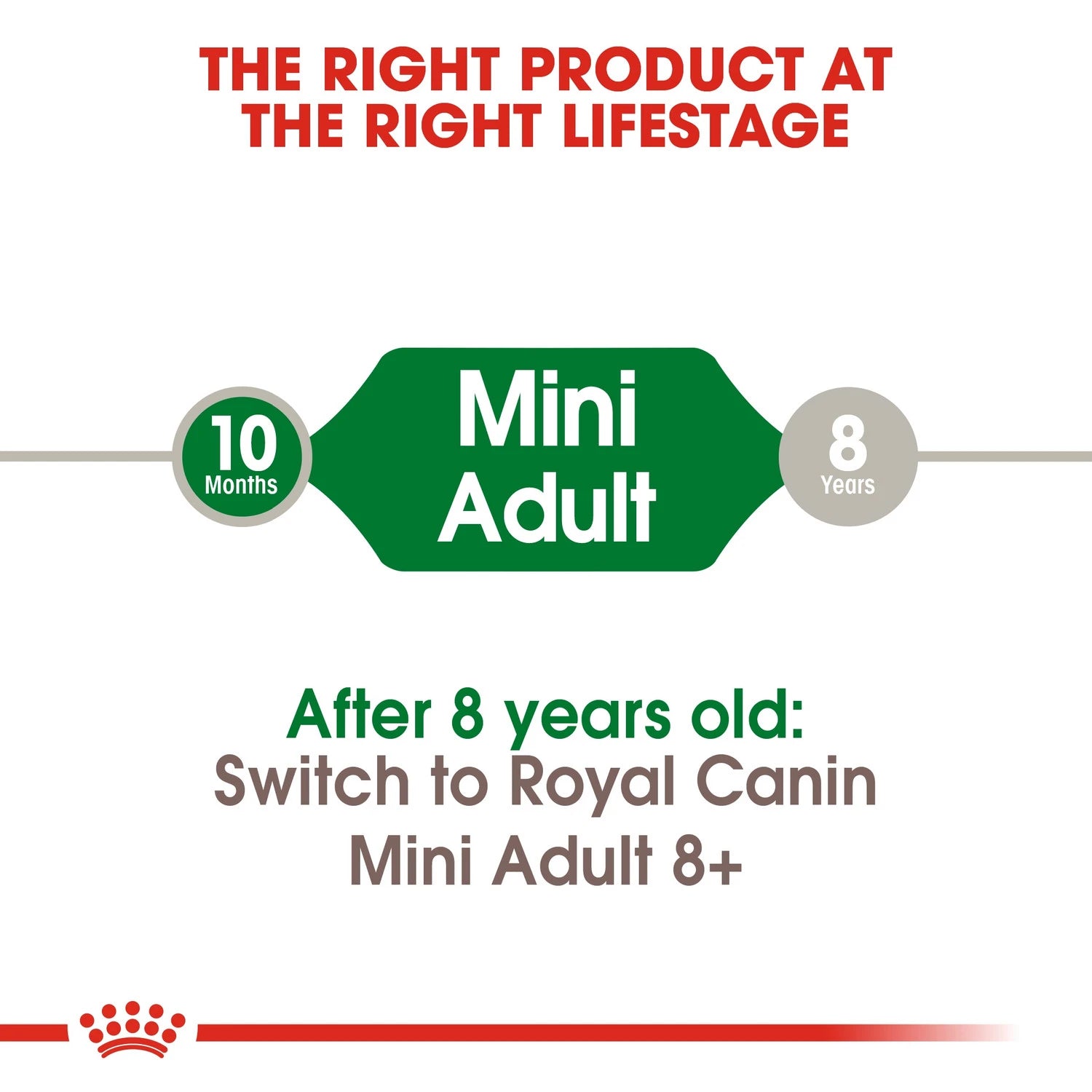 Royal Canin Size Health Nutrition Mini Adult 800 g