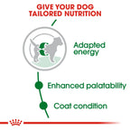 Royal Canin Size Health Nutrition Mini Adult