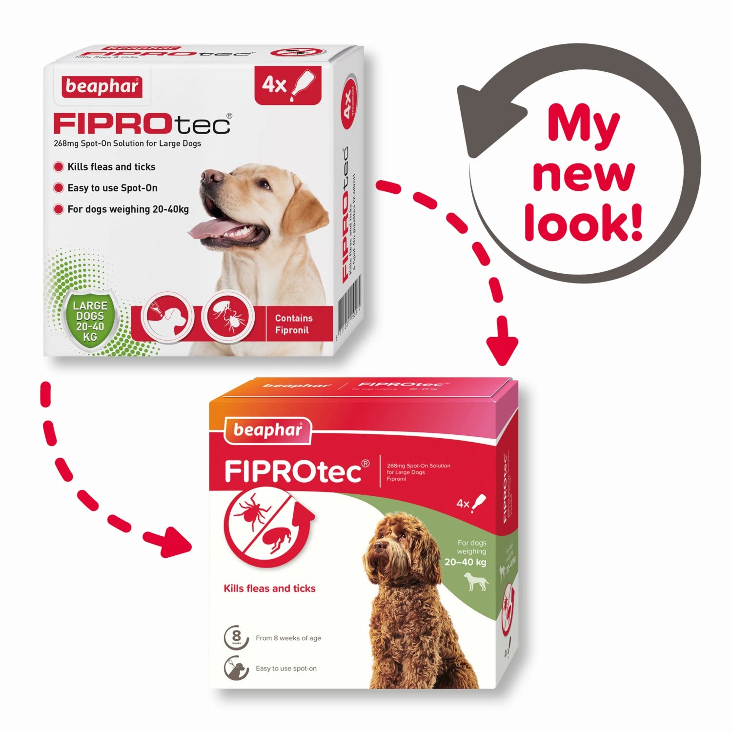 Fiprotec for Large Dog 4 Pipettes